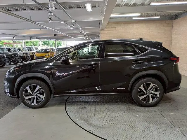 2018 Lexus NX 300h for sale in Kenya by Best Cars for sale in Kenya LTD.