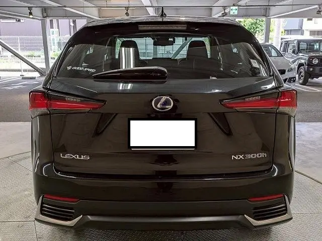 2018 Lexus NX 300h for sale in Kenya by Best Cars for sale in Kenya LTD.