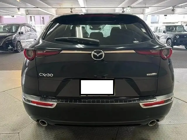 2018 Mazda CX-30 X Proactive Touring Selection for sale in Kenya  by Best Cars for sale in Kenya