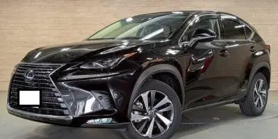2018 Lexus NX 300h for sale in Kenya