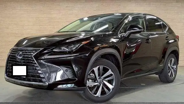 2018 Lexus NX 300h for sale in Kenya by Best Cars for sale in Kenya LTD.